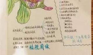 年轻教师的教育感言