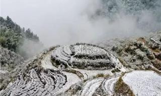 福建下雪网友纷纷晒出雪景