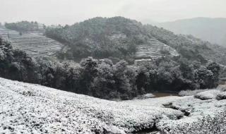 福建下雪网友纷纷晒出雪景