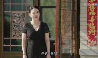 杨晓燕扮演者关婷娜