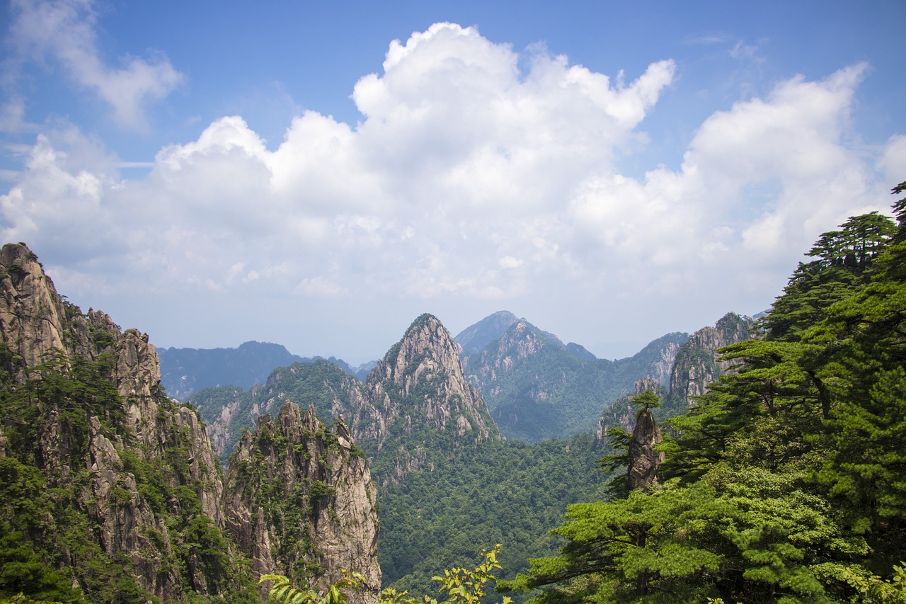 徐老师来巡山