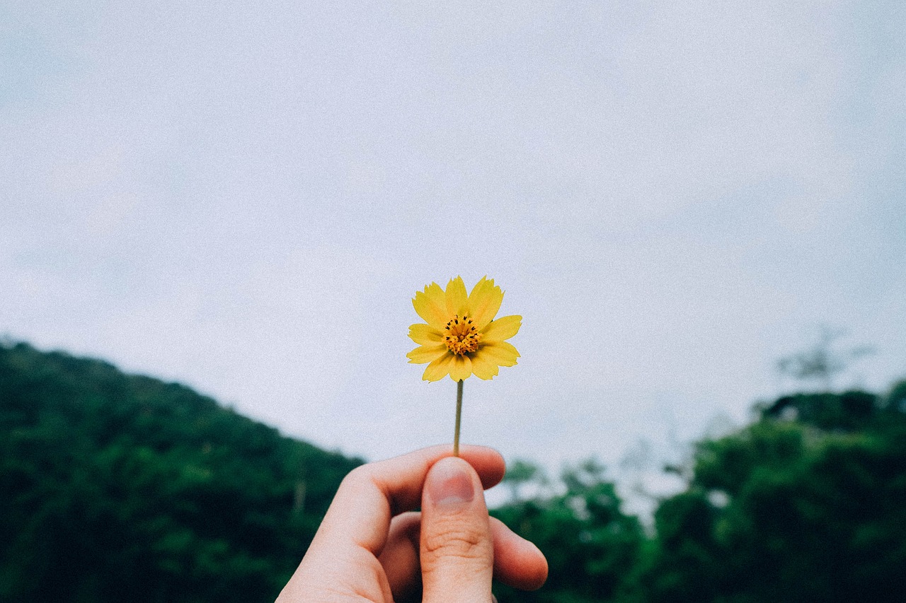 凫趋雀跃，新生活的开始