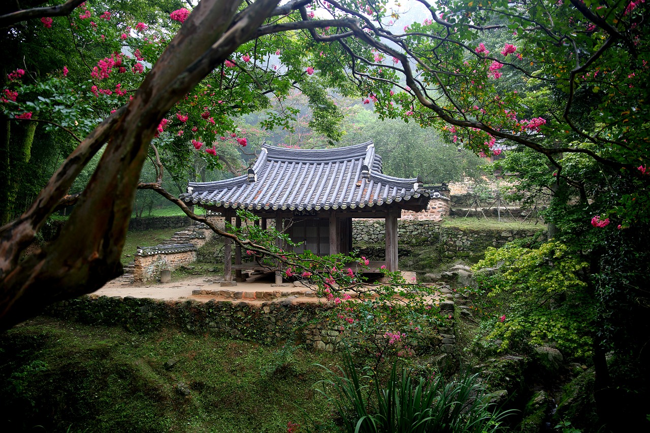 广州大夫山森林公园之旅