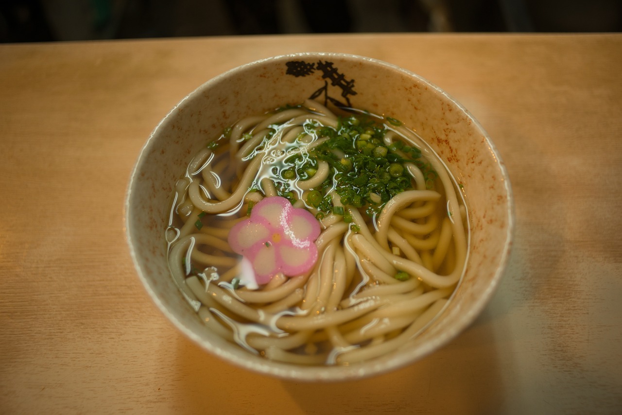 鸽子汤做法大全