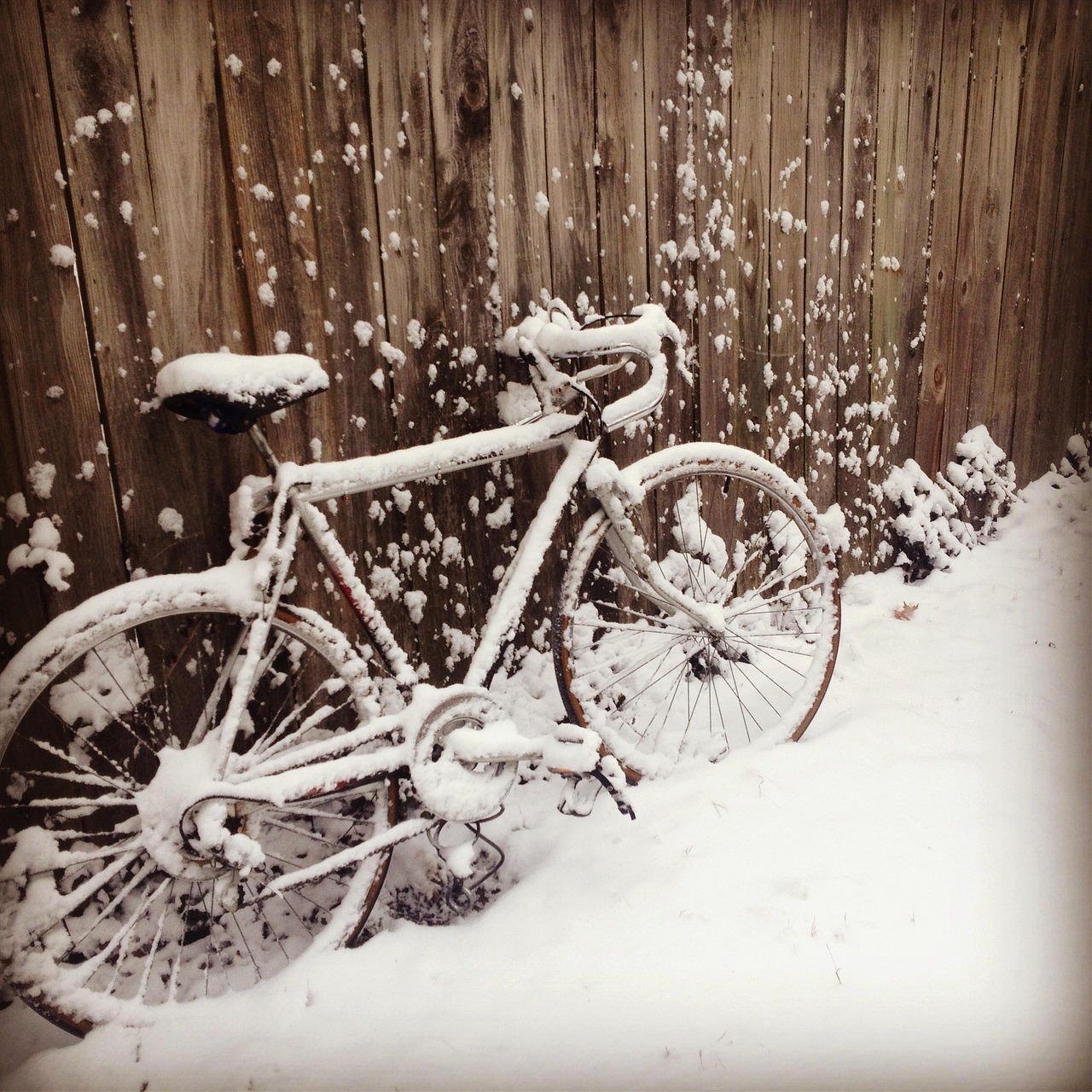 下大雪